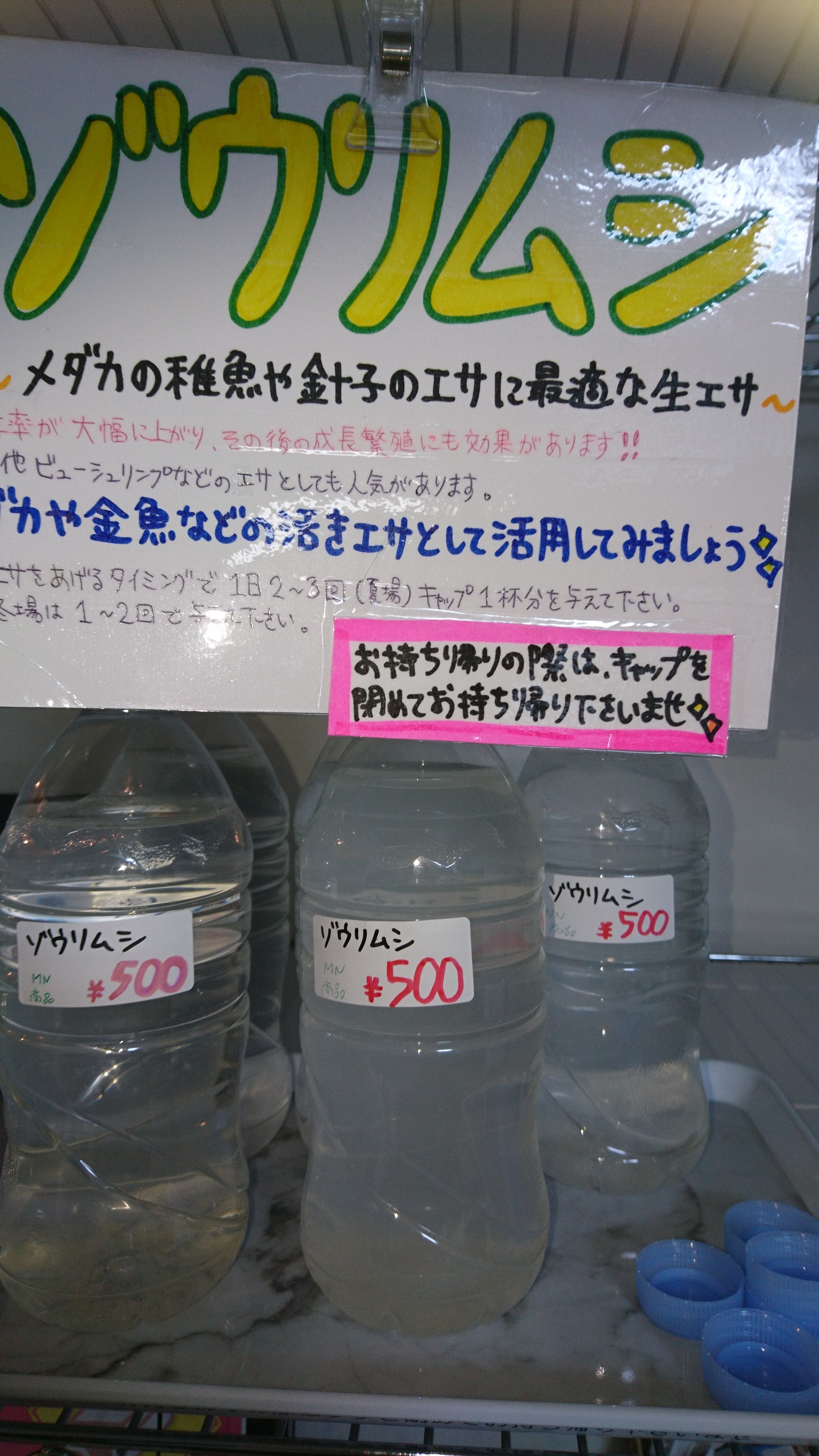 高級メダカ無人販売所 Twitter Search Twitter