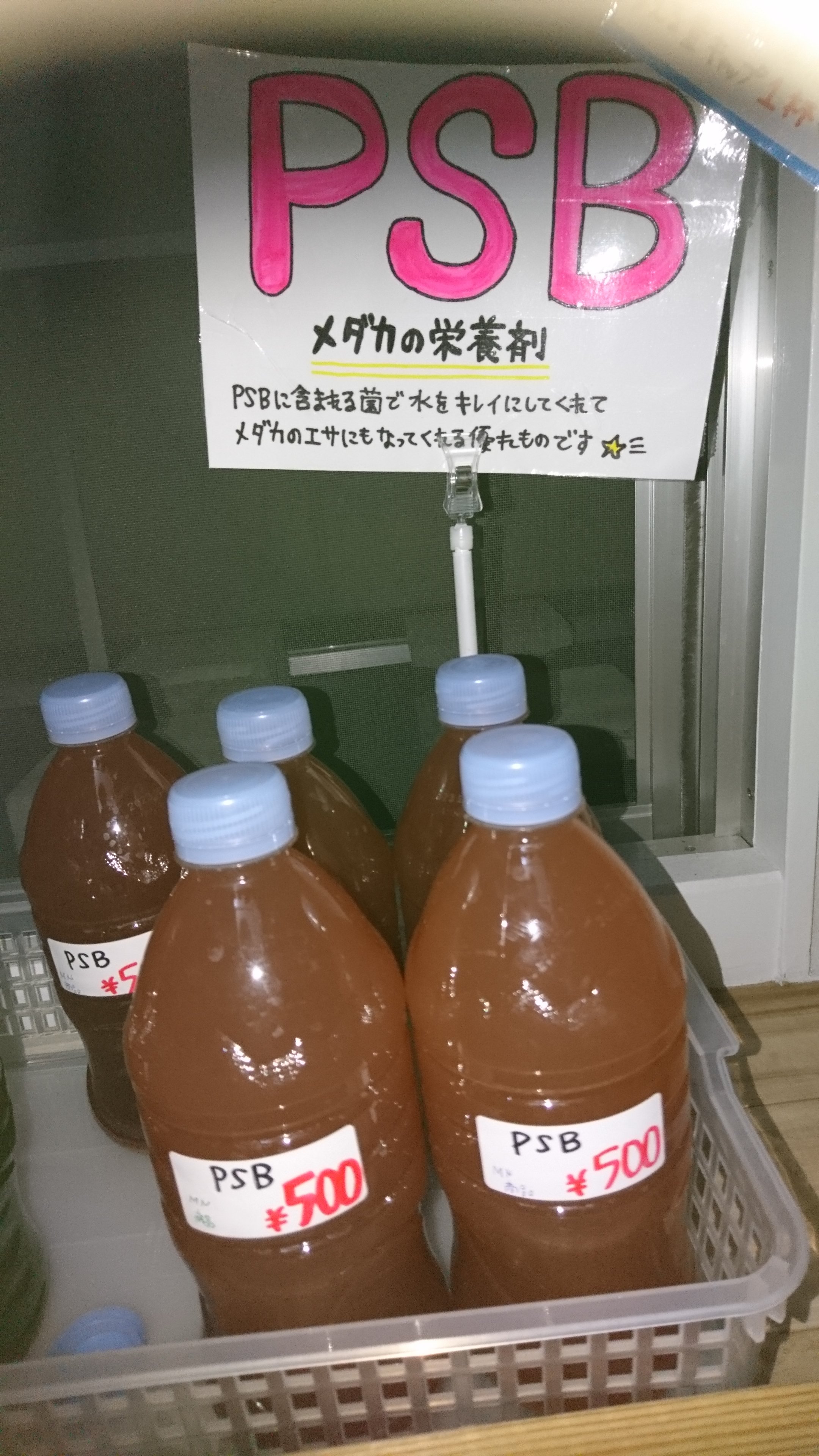 高級メダカ無人販売所 Twitter Search Twitter