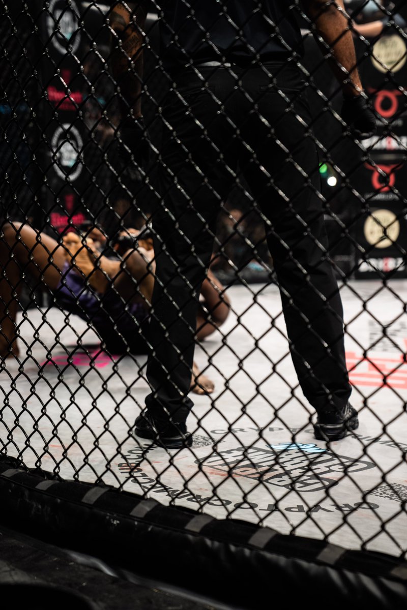 Crypto Crime Club | A Coalition For Good tweet media