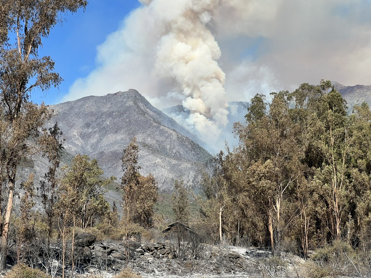 RicardoGuzman's tweet photo. Duro y complejo incendio forestal el que afecta a las comunas de San Fernando y Chimbarongo. Superficie afectada más de 1200 hectáreas. Gran esfuerzo de @conaf_minagri con todos los recursos dispuestos para su combate. https://t.co/oLmxKhtK91