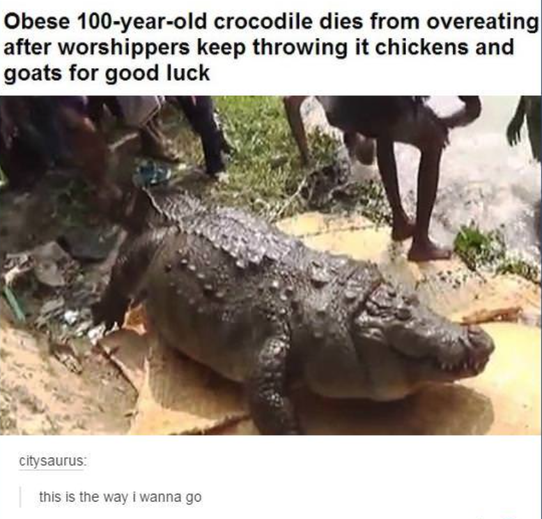 What a way to go