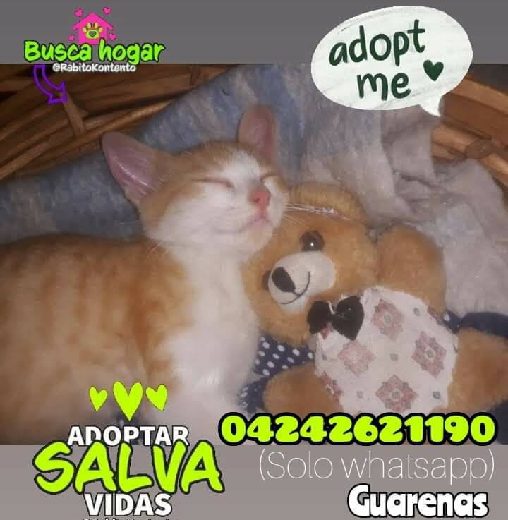 #BuscandoUnHogar #Guarenas