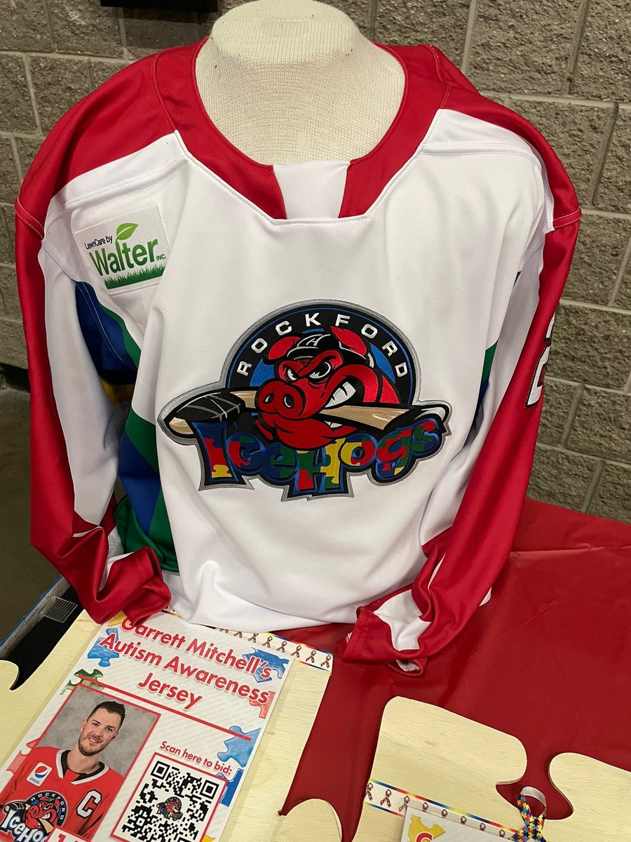 GregBoysen's tweet photo. These are the jerseys the @goicehogs are wearing for Autism Awareness Night. Fans can bid on each game-worn jersey on the IceHogs' mobile app with proceeds benefitting The Autism Program of Easterseals. #TXvsRFD https://t.co/sDU7YarMrW
