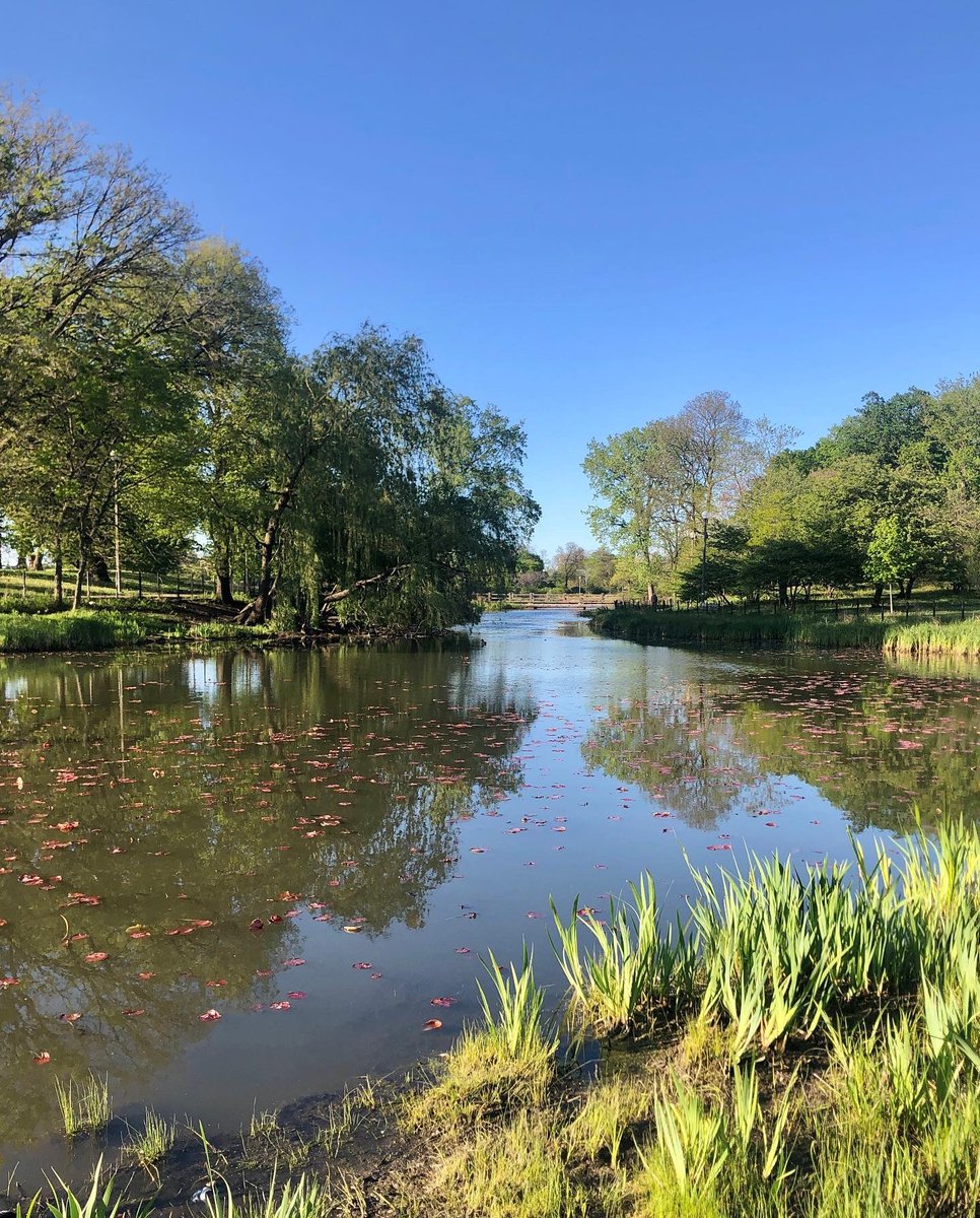 chicag0wl's tweet photo. Humboldt Park in all seasons https://t.co/VF2GbEHiAq