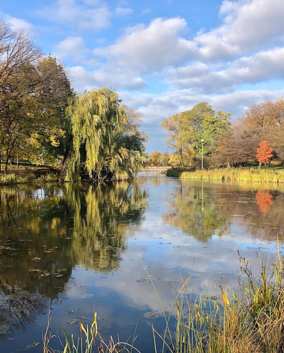 chicag0wl's tweet photo. Humboldt Park in all seasons https://t.co/VF2GbEHiAq