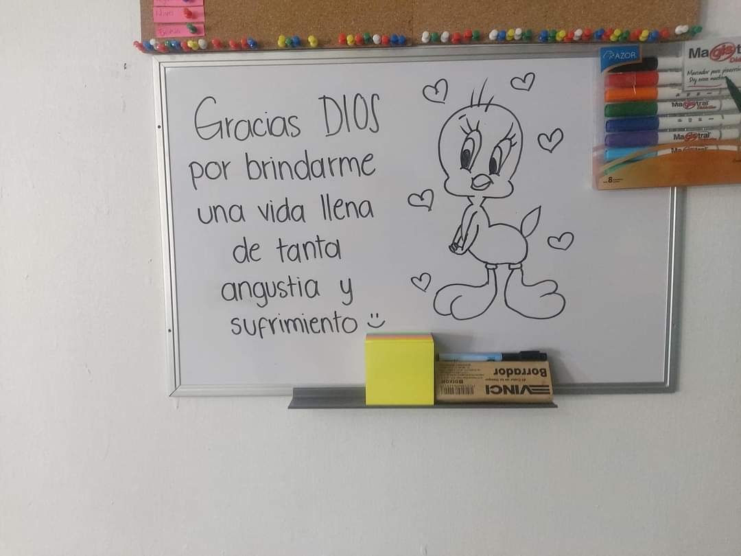 un caos total (@uncaostotai) on Twitter photo 