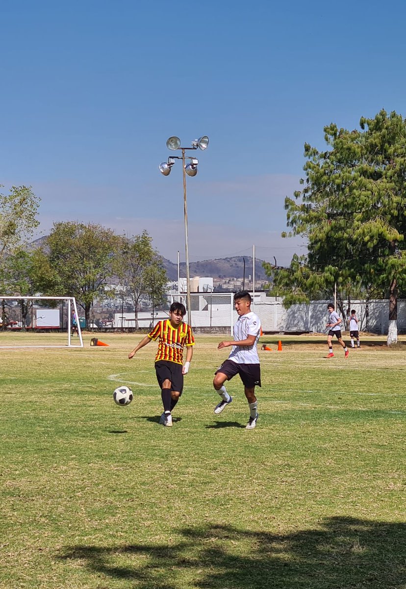futsat's tweet photo. #Semillero #Futsat
#LMFB
🦊 vs 🦁 Leones Negros https://t.co/x9GvOwymBN