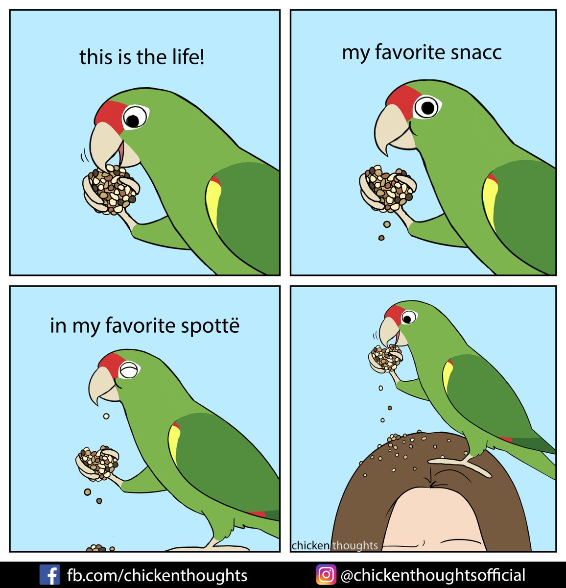 Inspired by <a href="/birdhism/">👉Birdhism.bsky.social</a>'s birb Piko!