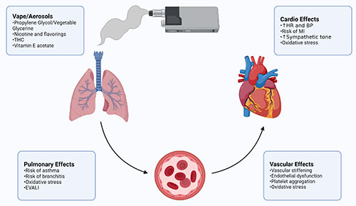 #InDepth #E-cigarettes are increasing in popularity. Explore an in-depth review on potential harms and current use. <a href="/woldloren/">woldl</a> #AHAJournals ahajournals.org/doi/10.1161/CI…