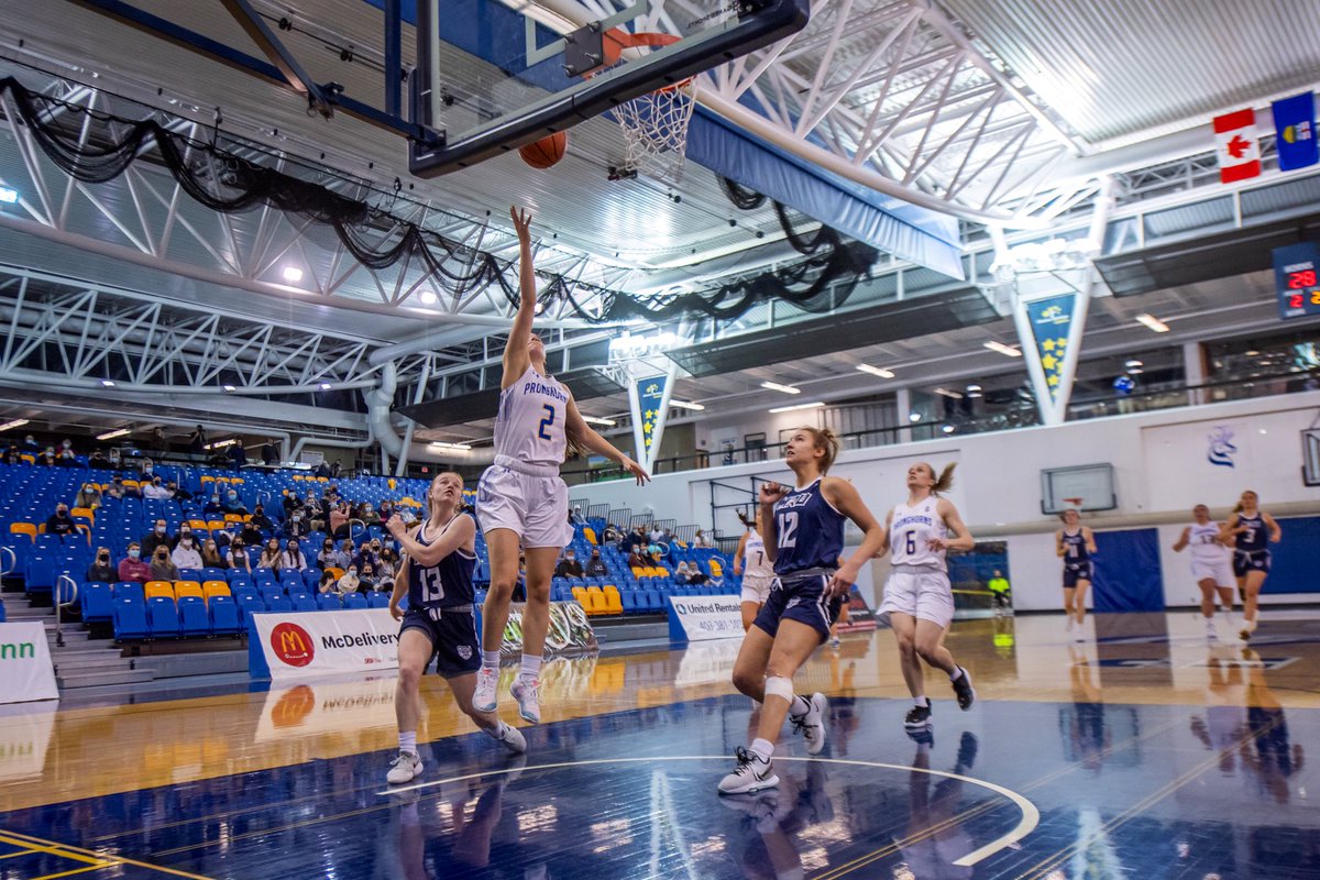 Lethbridge Sports tweet media