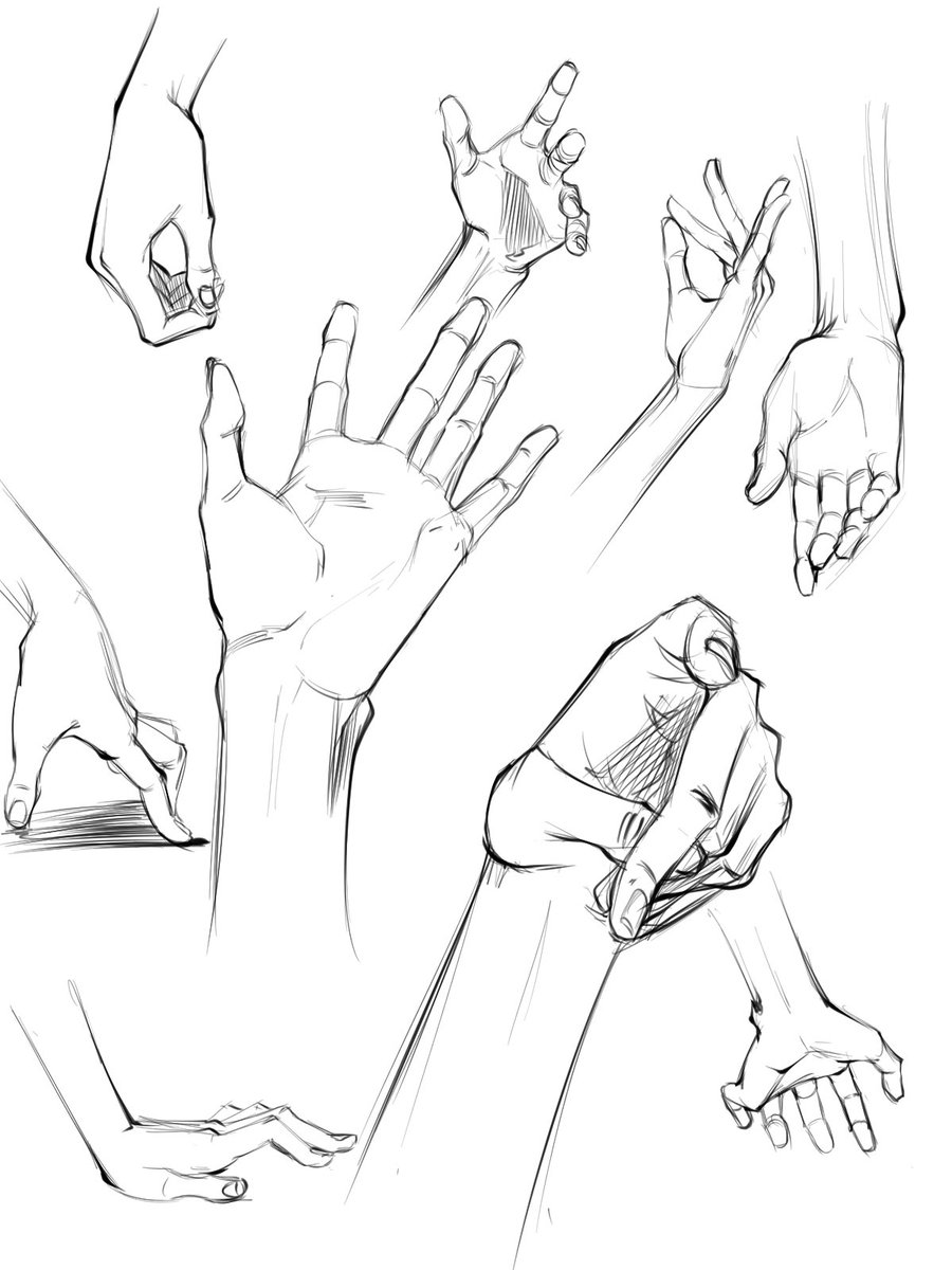 🤚 studies
Thanks to @l4wless_ for the brush! 