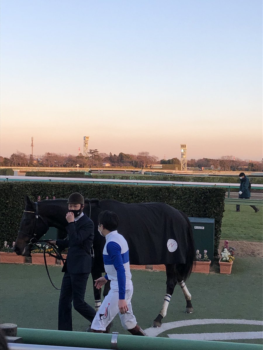 昨日1/22に中山競馬場に行ったら、口取りはやっていませんでした。。
ヴィオリーナの口取りが見れて本当に良かった。
あぶねー😱セーフ🤗