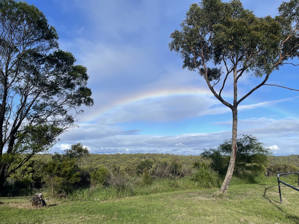 lde164's tweet image. Even a 🌈 turned out for this morning’s Linda Seymour ⁦@HughesRenews⁩ 
Independent candidate for Hughes #PoliticsHasGoneToTheDogs event at Barden Ridge🐶🐕🐩
#ConnectingWithCommunity
#PoliticsDoneDifferently
Listening to what matters to Hughes constituents 🎯 
#HughesVotes