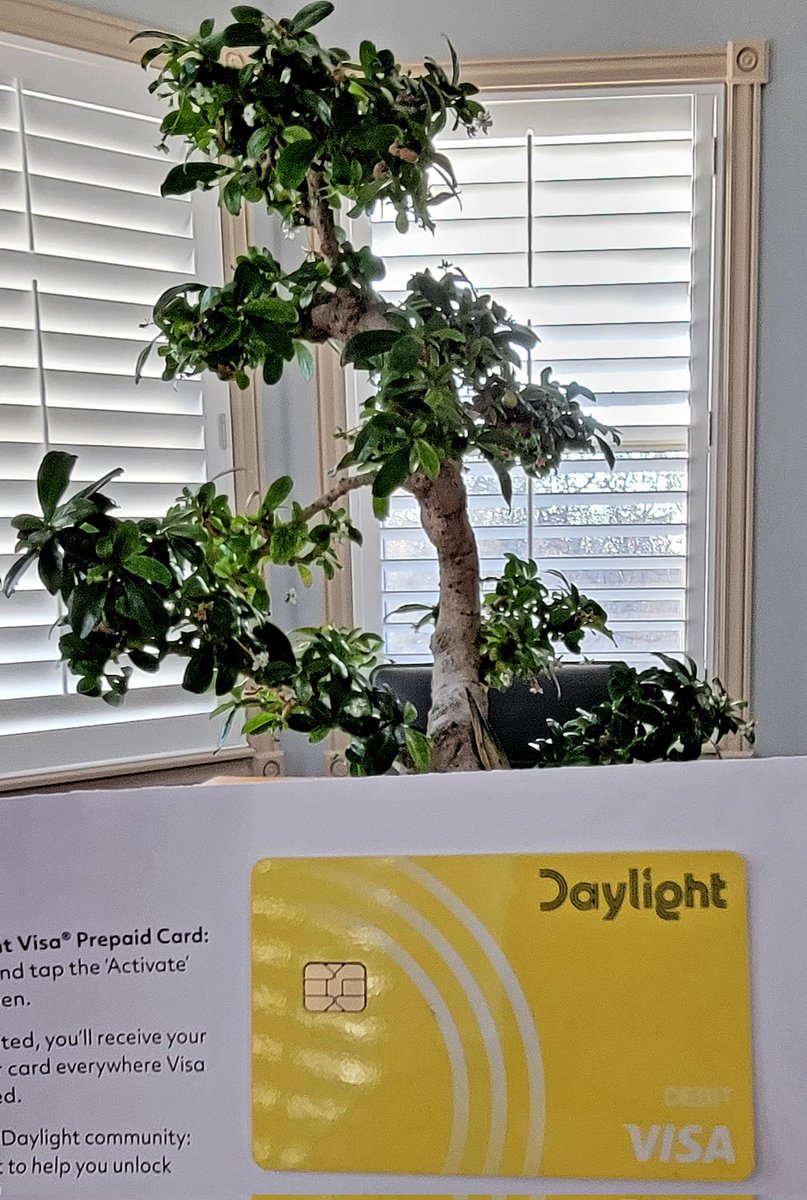 CurtQu's tweet photo. It's here! My @joindaylight card, ready to put in action. Communities supporting each other to move this world forward. #banktobank #LGBTQtoLGBTQ https://t.co/VIIrD8nrNE
