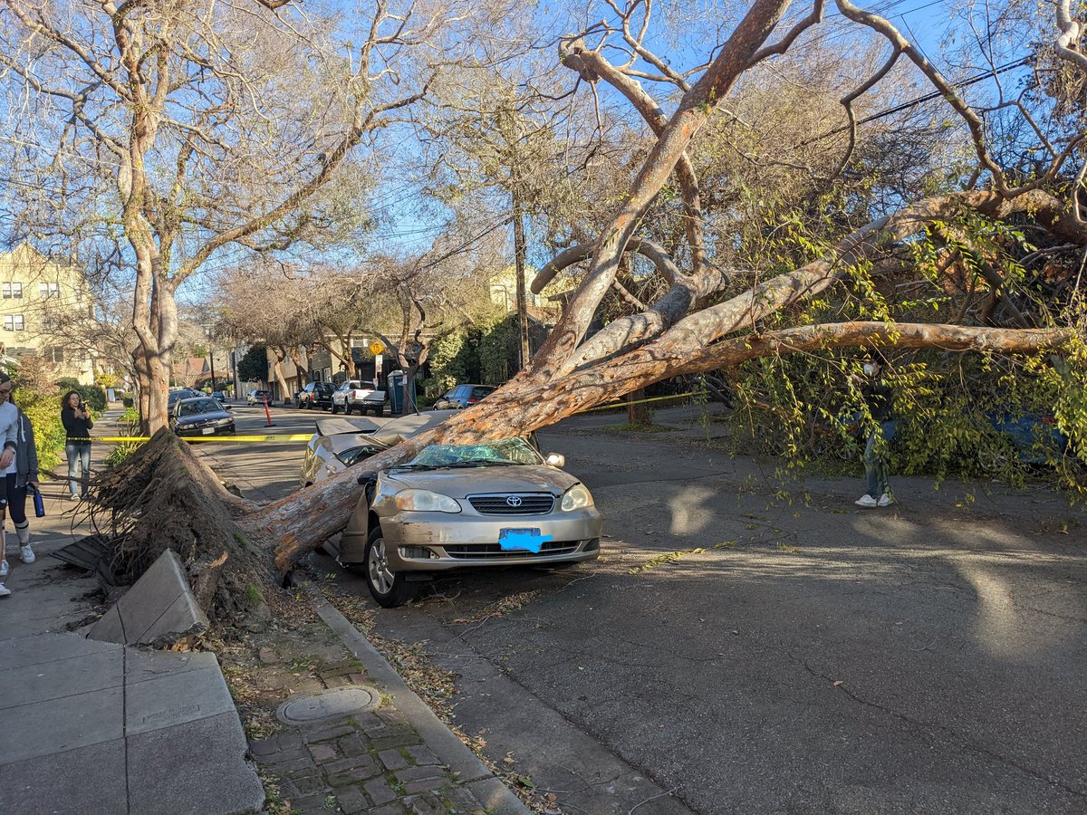 njwilson's tweet photo. My neighborhood became a tourist attraction today 👀👀 https://t.co/ZBwAChxPBc