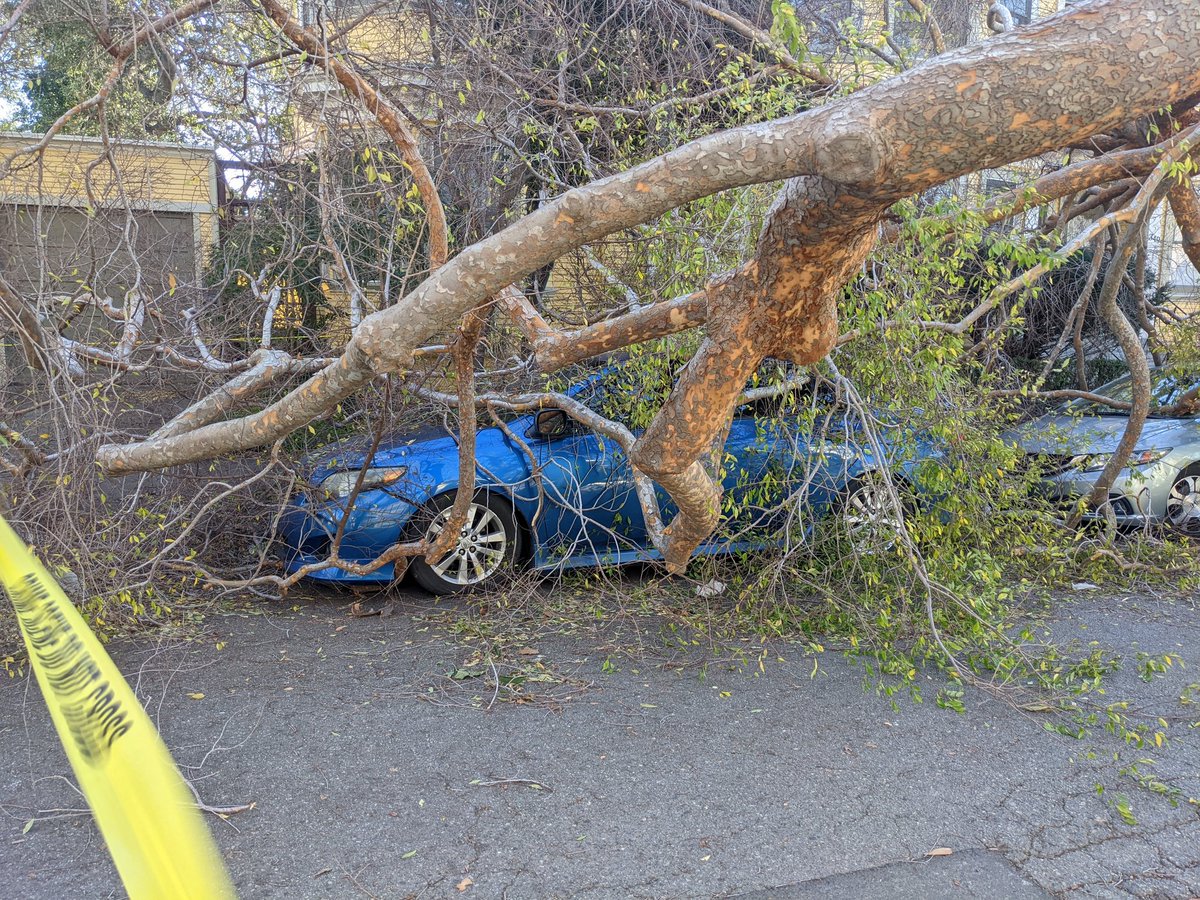njwilson's tweet photo. My neighborhood became a tourist attraction today 👀👀 https://t.co/ZBwAChxPBc