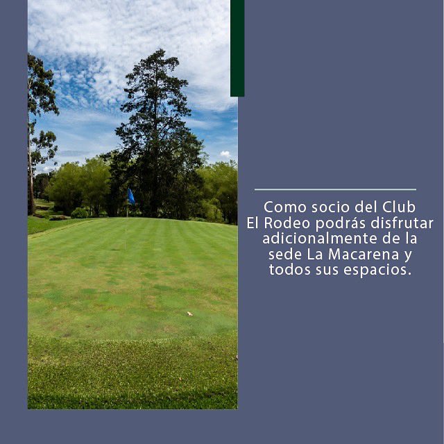 Club El Rodeo tweet media