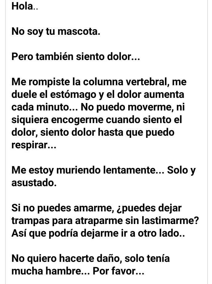 f4iryyy02's tweet photo. Bro esto me llego al cora🥺💔 https://t.co/nfo9wxHe1b