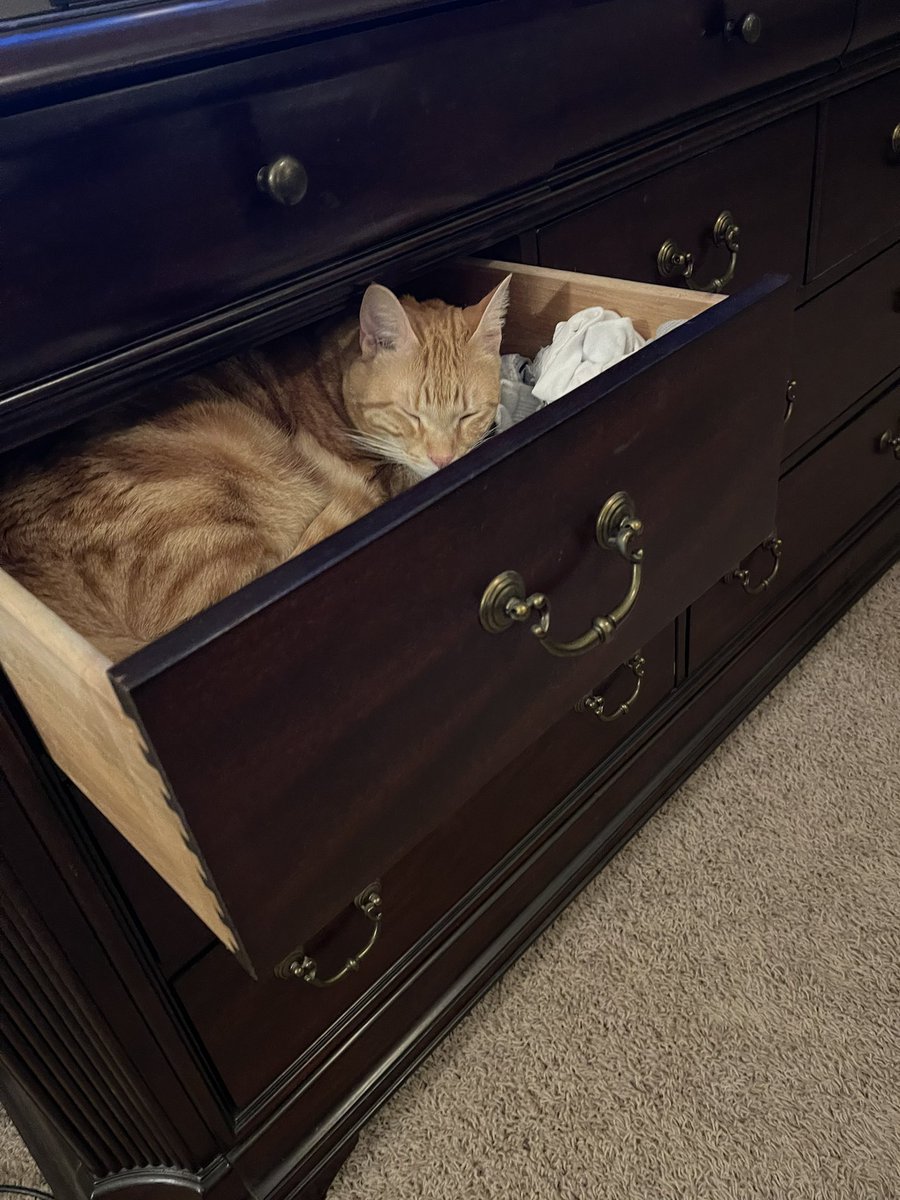 Find a cozy spot and stay warm, everyone! ❤️ 
#CatsOfTwitter