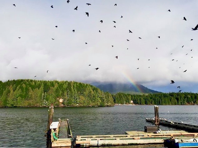 TheGrayTeamUkee's tweet photo. 🌈 The lively Ucluelet harbour really knows how to put on a show! 😊

#startlivinginukee #ucluelet #harbour #magical #westcoastcanada #wildernessculture #ukeebc
📷 Eliza Cain https://t.co/8iHRWRDbow