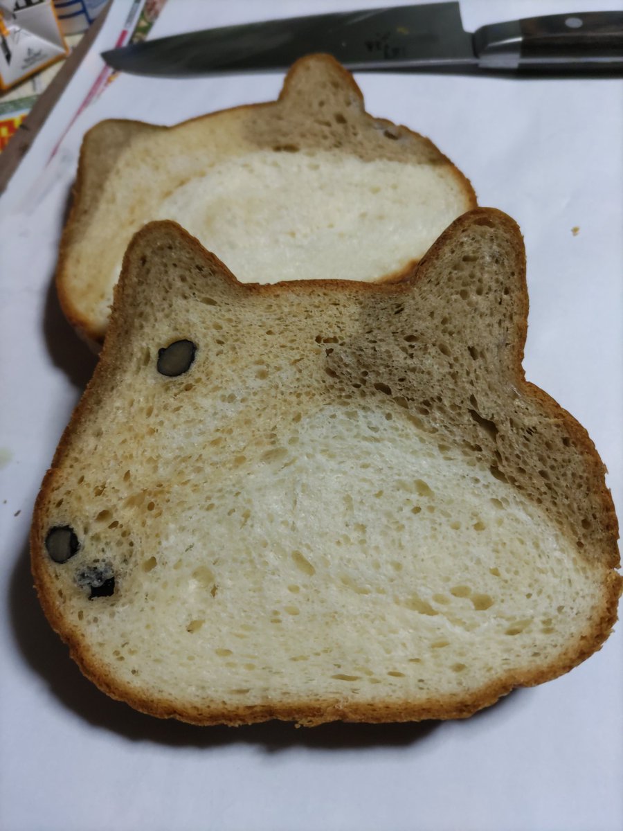 kagayasakae's tweet photo. 久々のねこねこ食パン🍞です😺1月のフレーバー、きな粉餅☝️軽くトーストしてから食べまーす😸　🐈‍⬛ https://t.co/1Q89RydFVN