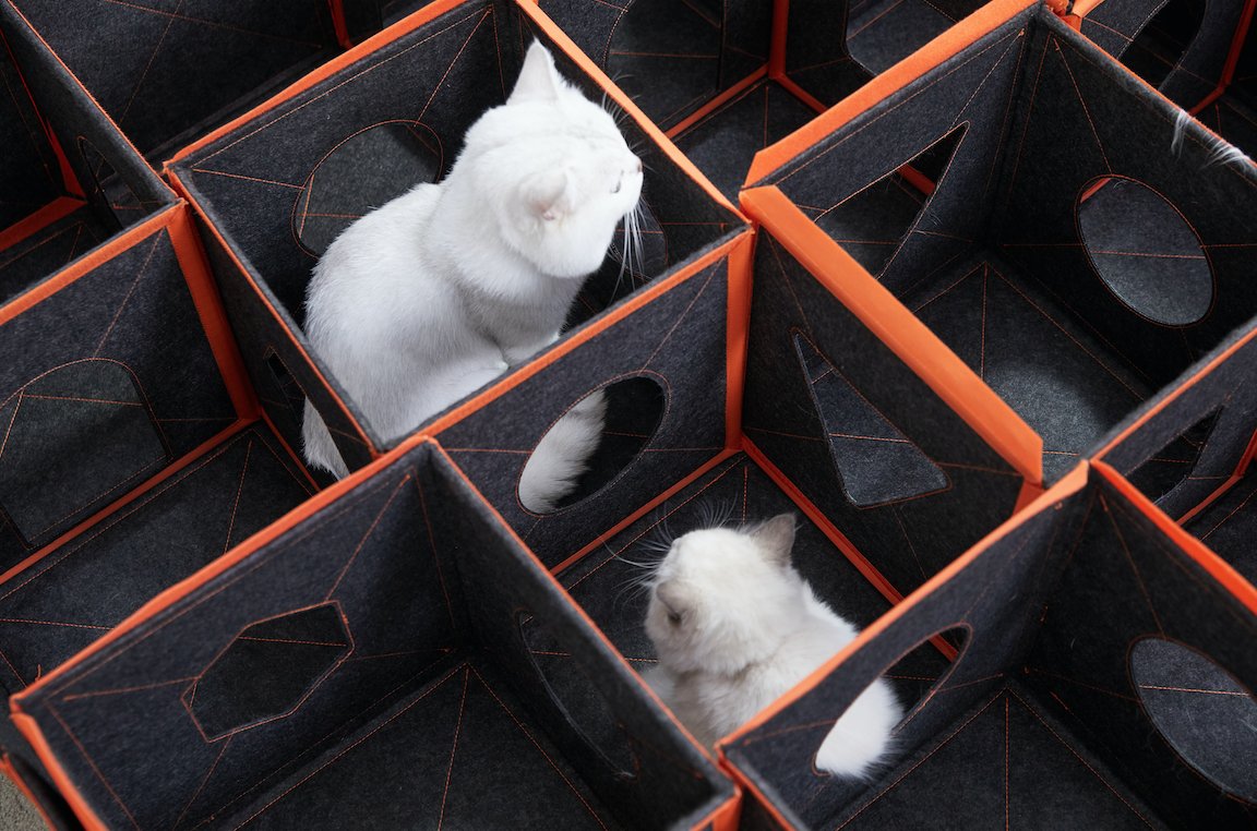 PurriniPlaymate's tweet photo. Saturday afternoon, what's more fun than having a hide-and-seek with best pals? With #Purrini PlayMate, you can easily build a maze for your small pets to beat their boredom!
#weekendvibe https://t.co/bkGXdarGca