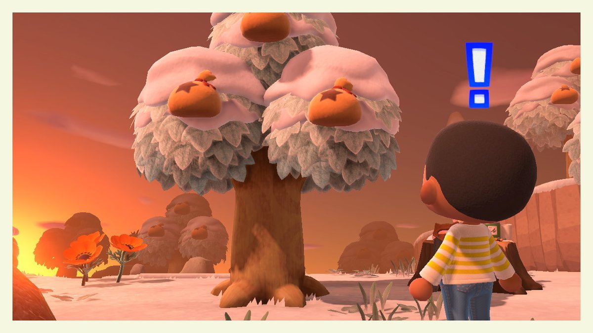 wishfulrider023's tweet photo. I just got on an island full of bell trees! Not NMTs. I went on a round trip and found an island with bell trees! This is for @GhostRobo to look at. #AnimalCrossing #ACNH #NintendoSwitch #trustswitchforce https://t.co/5LtDiyDb7x