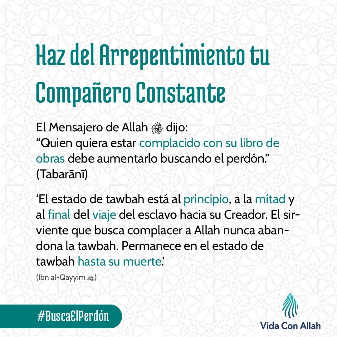 vidaconallah's tweet photo. https://t.co/zhdHz2phkL
