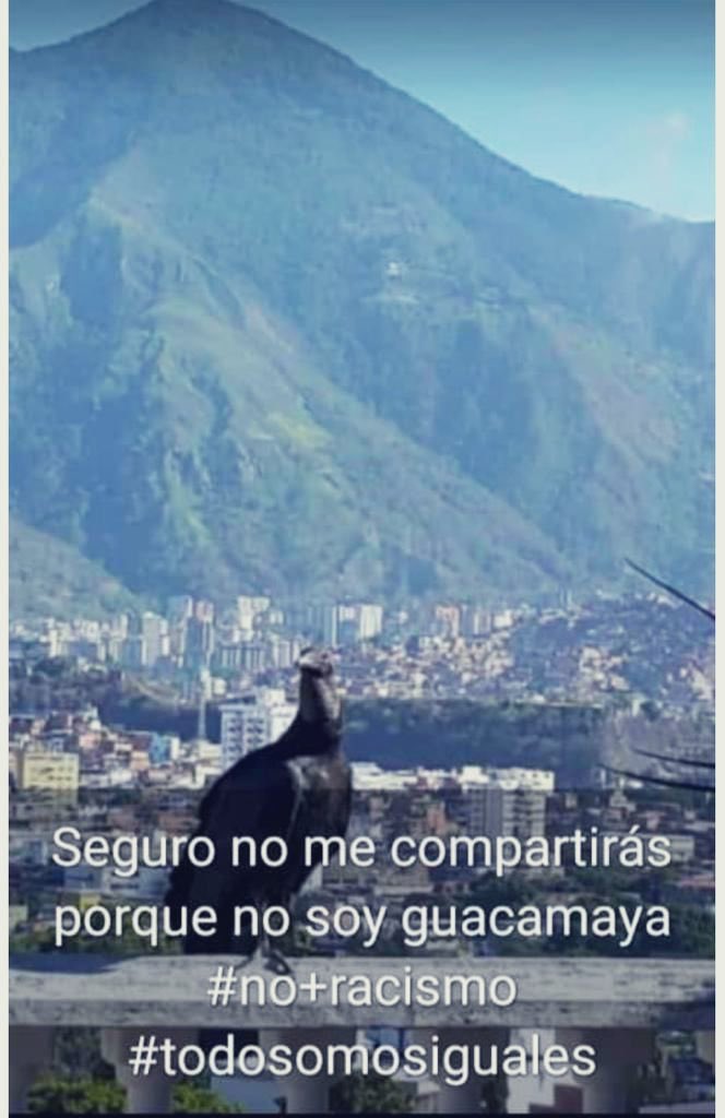 gabyarocha's tweet photo. Cosas que nos llegan por WhatsApp 😄 https://t.co/FNiEuc9yYz