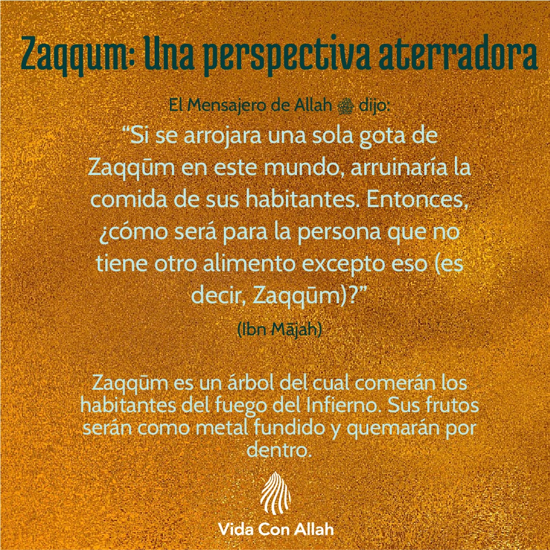 vidaconallah's tweet photo. https://t.co/m0GKIrT5xj