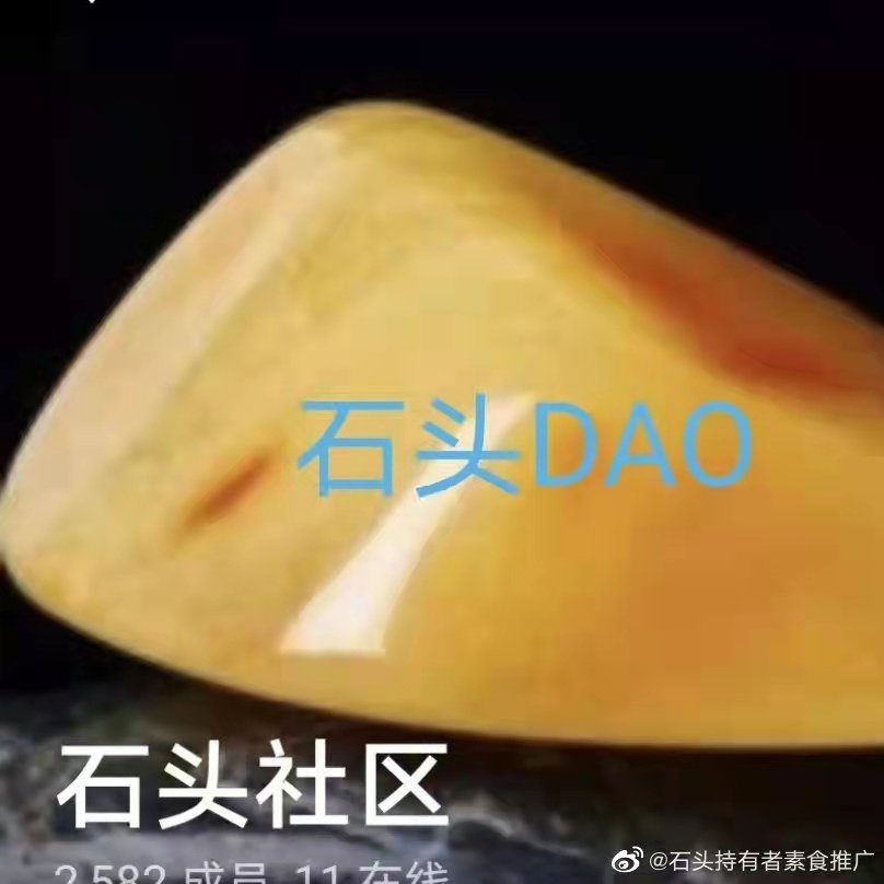 Stone Coin is a Dao decentralized self-governing open and decentralized cryptocurrency aimed at creating a truly decentralized and highly autonomous digital currency, giving rights back to participants and promoting ecological development through Defi!