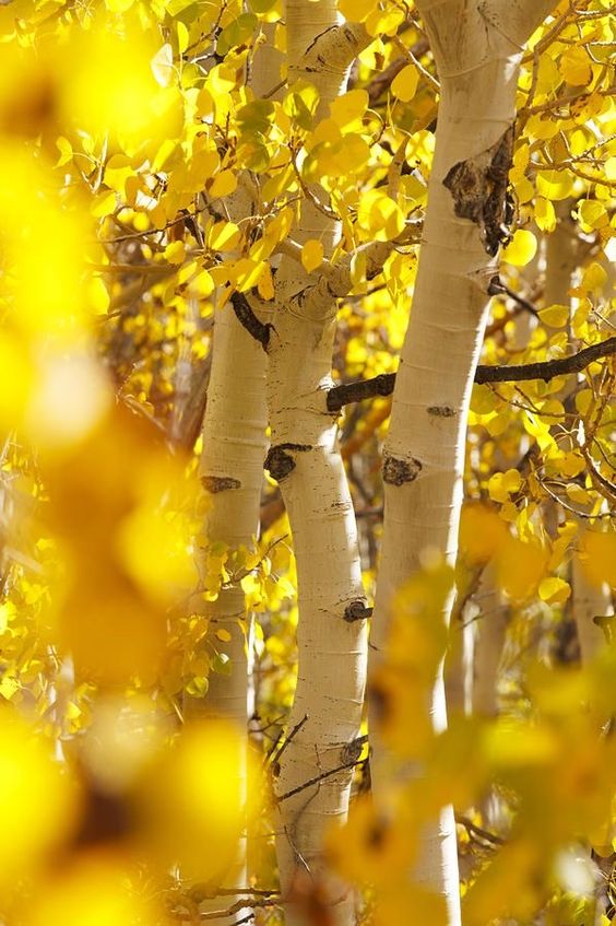 Wort am Sonntag: Seien Sie optimistisch