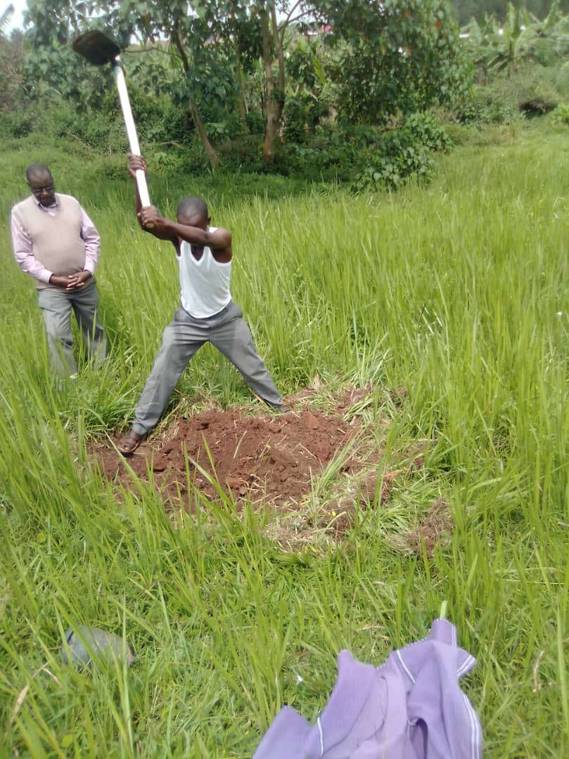 Million Trees International Organisation tweet media