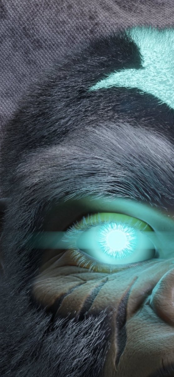 BBGorillaMob's tweet photo. WE HAVE THE CRAZIEST REVEAL FOR YOU GUYS TODAY,  I DON’T THINK YOU LOT ARE READY 🥶🥶 https://t.co/pV0HV09sP1