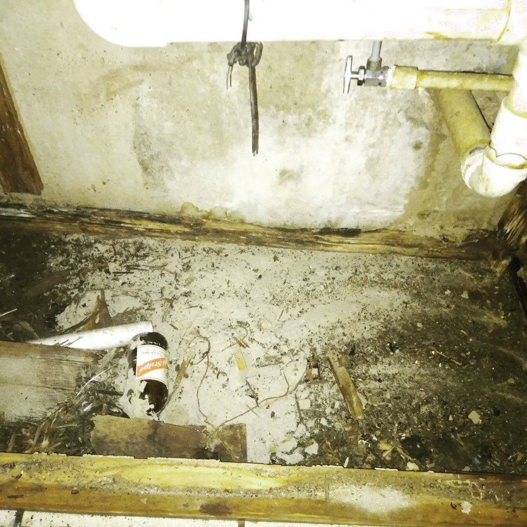 ChemPest2000's tweet photo. Call or📱Whatsapp: 876-821-1343 or 213-4372 for all your termite treatment. #subterraneantermites #drywoodtermites #duckants https://t.co/kHDEi9Qe7T