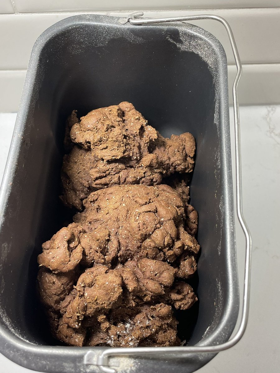 There is a chance that my first attempt at pumpernickel won’t be as delicious as I had hoped.