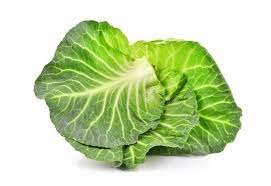 _Woman_health's tweet photo. #Healthyfood #CabbageLeaf, the Best Natural Whole Food in Treating #BreastEngorgement https://t.co/Pfy0PyMaUV https://t.co/gz5bdAaPtm