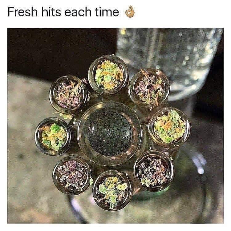 TerpeneQueen420's tweet image. Yes please!
If anyone knows where to get one…      I absolutely need this in my life!!! 💯        💚💚💚  #wheretheplugsat #slideintomydms #helpasisterout