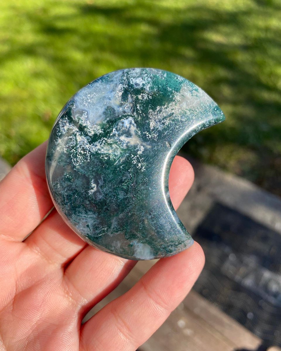 lex 🌙 tweet media