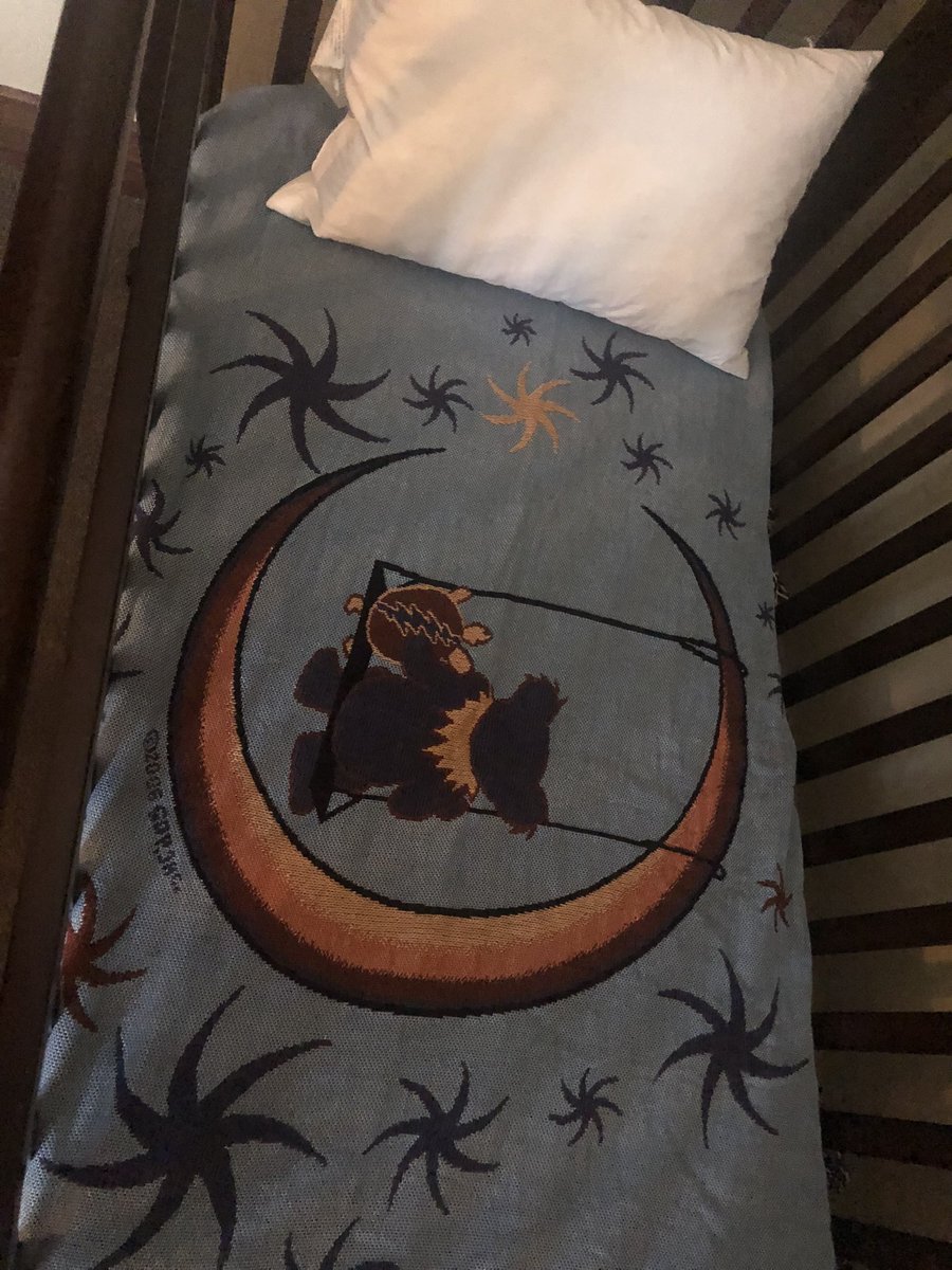 Katie O'Reilly tweet media