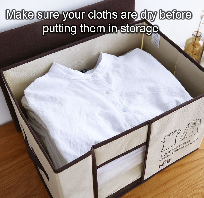 InterstateUStor's tweet image. Mold and mildew are the worst and climate control can only do so much!
#storage #reno #renostorage