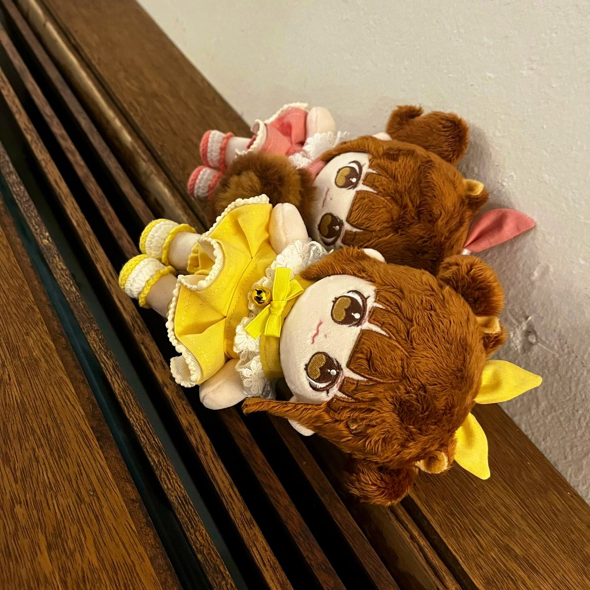 #귀여운_제티_한잔
저는 두잔이요🙋🏻‍♀️🙋🏻‍♀️

사랑스러운 우리 제티즈🐿🐿
만날 수 있게 해주셔서 감사해요🙆🏻‍♀️
제가 둥이로 잘 키워볼게요💪
<a href="/somsomtea/">솜솜찻집🍵</a>

베이비 세트💛💝 <a href="/X_X19900326/">야매김구리()</a>

#제티 #제티즈 #솜일리룩 #아솜이네