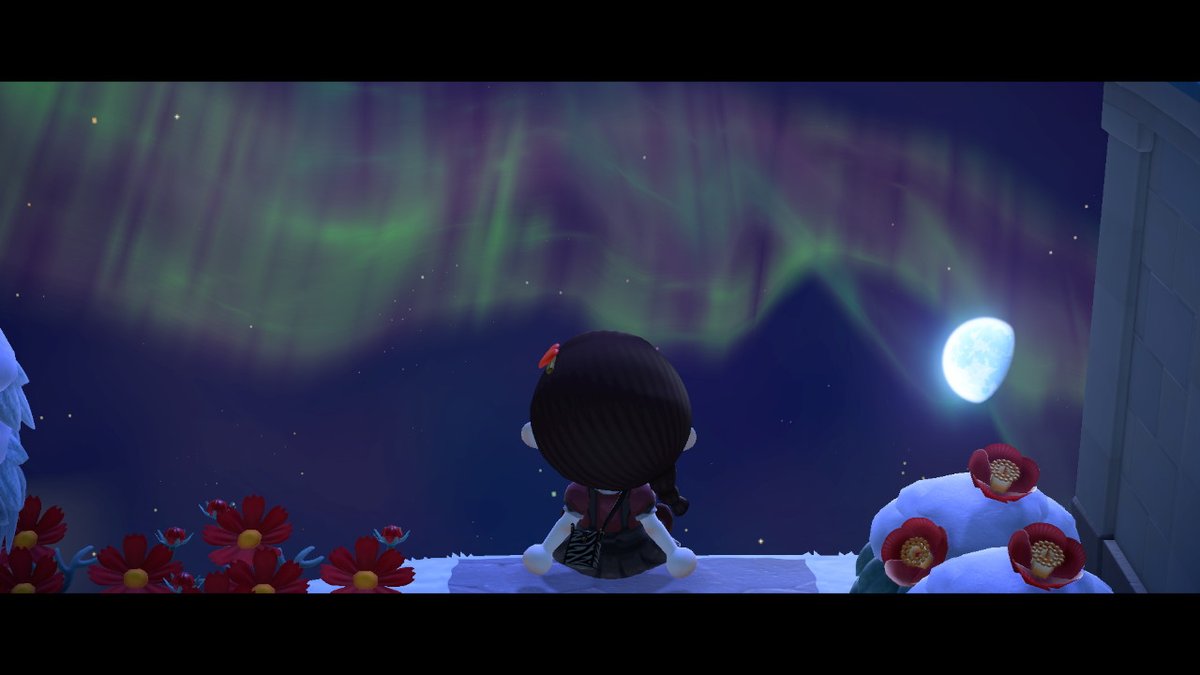 _FallingLeaves's tweet image. it finally happened! #auroraborealis #autumnisland #newhorizons #AnimalCrossing #ACNH #NintendoSwitch