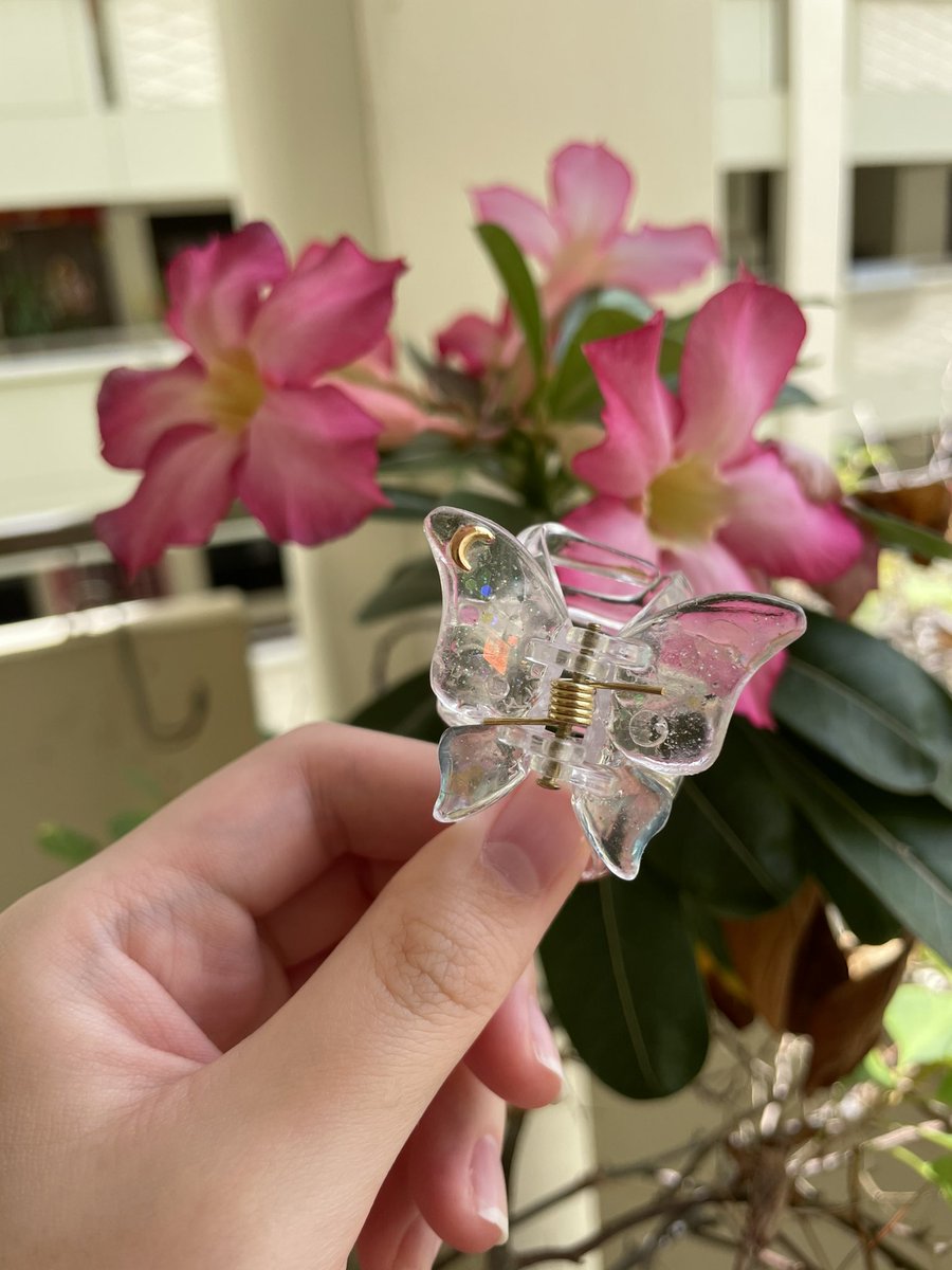 shroomyjellies's tweet photo. Since these clips are back in fashion, I decorated one! #resin #butterfly #clawclips https://t.co/hgMCq4DjoB