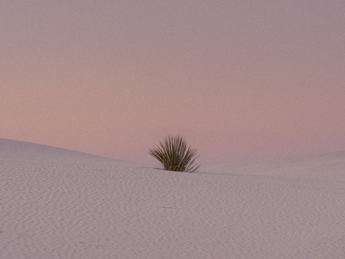 inthemeadow's tweet photo. ethereal https://t.co/DO2EseseLa