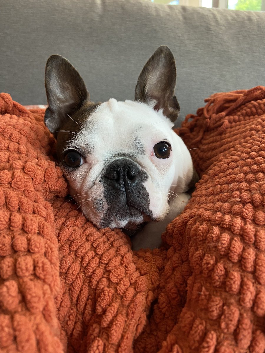 Lindsey Spindle tweet media