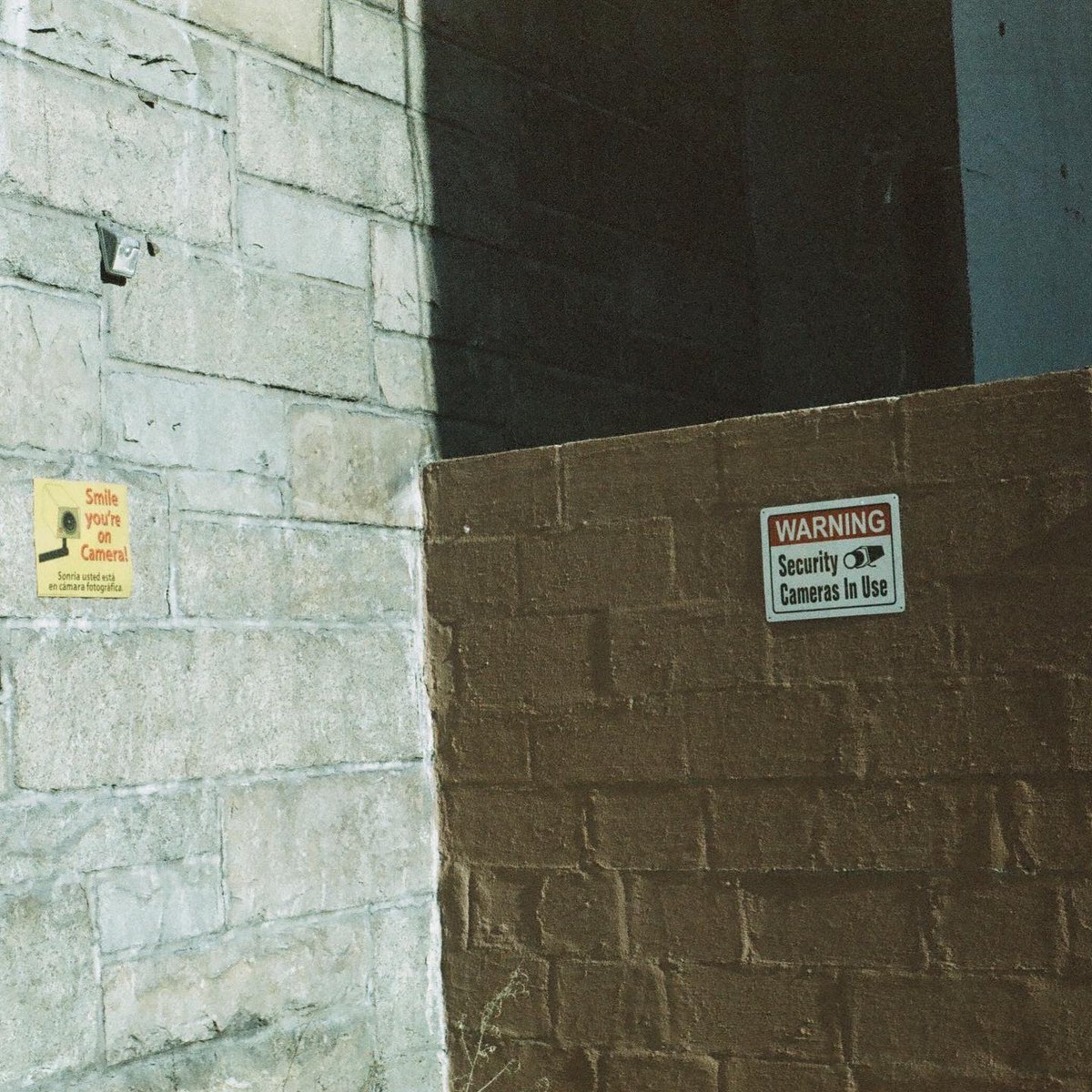 ❤️‍🔥 • new song dropping feb third • 🆗🆗