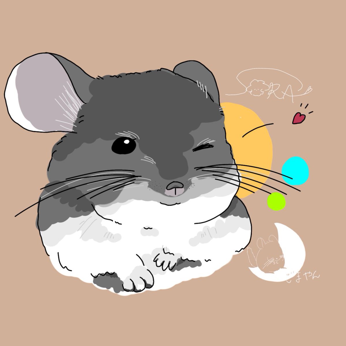so0ora__'s tweet photo. 大好きなごまやんを描きました！！！

 #奏楽のお絵かき帳  #チンチラ  #イラスト https://t.co/elvdHnWN4o