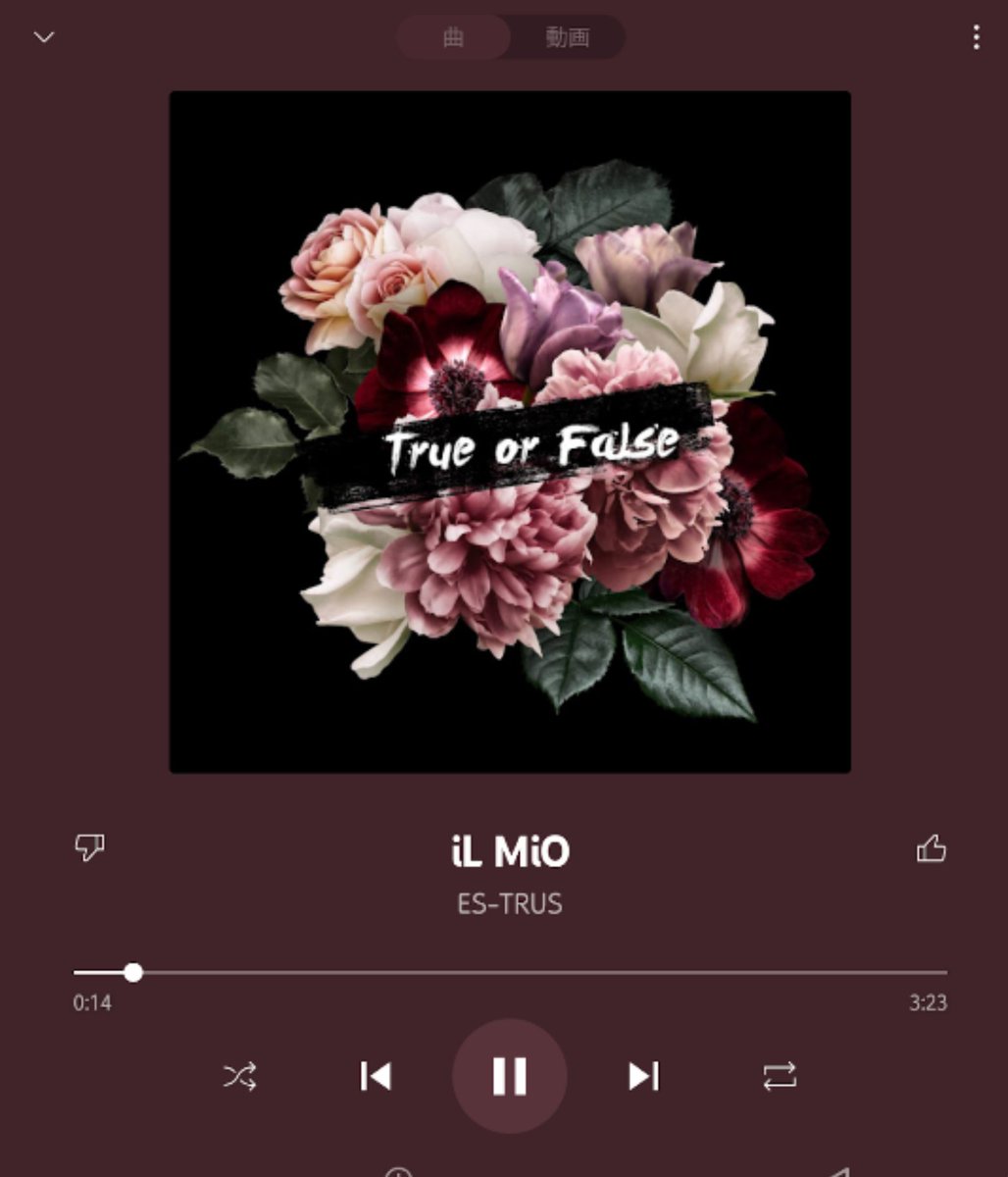 TOSHI_MUSIC_AC's tweet photo. #Nowplaying
#ESTRUS
#iLMiO https://t.co/hdxQM89BzL