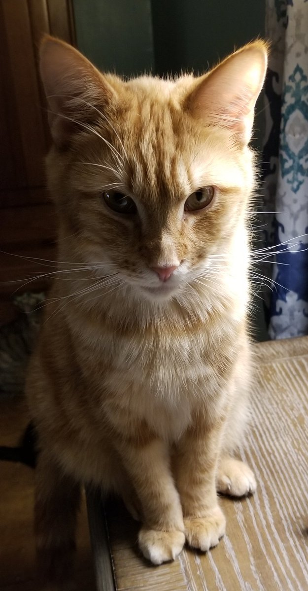 terri p (@terrip5831) on Twitter photo 